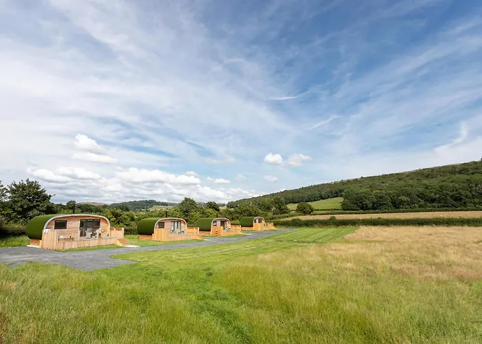 Low Longlands